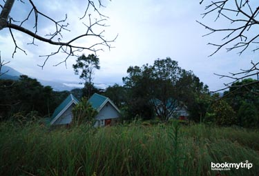 Bookmytripholidays | Ambadi estate,Munnar  | Best Accommodation packages